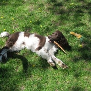 Phoebe - Flaunting her big stick