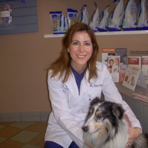 Zelig - This was taken in May 2009. You can tell how much our suspicious little dog really likes Dr. Sugar