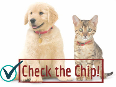 image for August 15 is National Check the Chip Day!